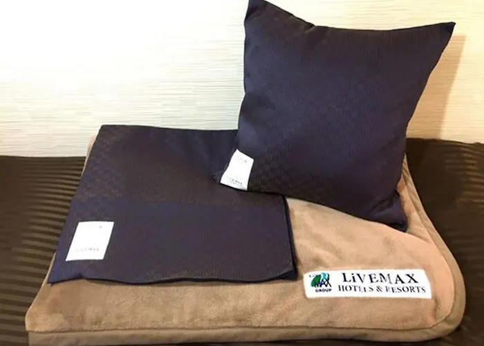 Hotel Livemax Kyotokamogawamae